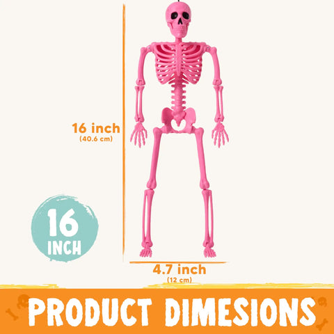 Spooky Hanging 16 Inch Posable Skeleton Set For Halloween Decor, pink skeleton with product dimensions shown