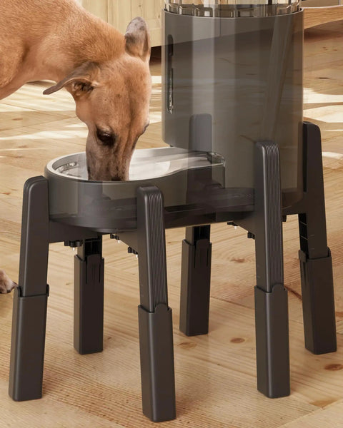 Elevated Dog Water Dispenser Stand And Adjustable Pet Feeder Holder Designed For Large Breeds with a dog using it.