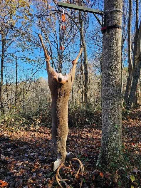 Self Locking Block and Tackle Hoist System With 35 Ft Polypropylene Rope, 300 Lb Capacity lifting a game animal outdoors