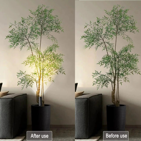 Comparison of plant with 2 Pack Mini LED Indoor Spot Lights With 3W Warm White 3000K Uplights Plug In Floor Accent Lighting.