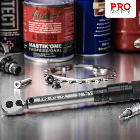 Pro Grade Bike Torque Wrench And Screwdriver Set For Your Ride Maintenance One Quarter Inch Drive Two Point Two To Sixteen Point Nine Newton Meters Includes Allen Torx Extension And Protective Case on a workshop bench with bike tools and cans.