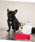 Chill Out As Your Furry Buddies Chow Down On This Pink 3.5L Automatic Pet Feeder And Water Bowl Station Featuring A Tight Leak Proof Cap And Grippy Non Slip Bottom with dogs.