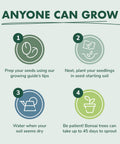 Illustration with steps for growing bonsai; includes seed prep, planting, watering, and waiting, for Bonsai Tree Kit For Beginners Grow Your Own Mini Bonsai With Four Varieties Seed Starter Kit Includes Potting Soil Jute Bags Pruning Shears Plant Markers And Easy Step By Step Guides.