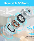Low Profile 52 Inch Ceiling Fan With LED Lights No Sweat Remote Control Quiet Reversible DC Motor in exploded view with noise specs