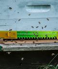 Beehive Entrance Reducer Set for 10 Frame Hives, Adjustable Plastic Entrance Gates with Mouse Guard on hive with bees