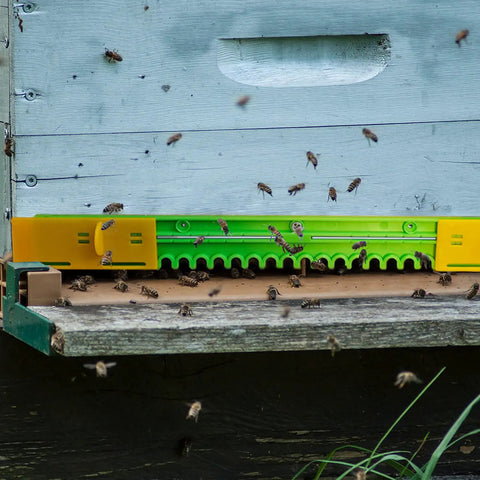 Beehive Entrance Reducer Set for 10 Frame Hives, Adjustable Plastic Entrance Gates with Mouse Guard on hive with bees