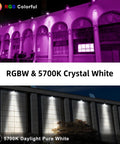 Linkable LED Wall Washer Light With RF Remote 144W RGBW Color Changing Outdoor Landscape Lighting in use on buildings