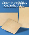 Baltic birch plywood sheets, 3 pieces, 12 x 24 inches, 1/4 inch thick, light wood tone