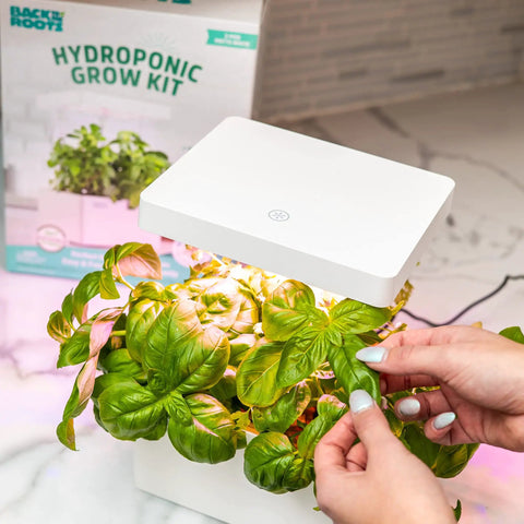 Person adjusting basil plant leaves under Hydroponic Grow Kit With Self Watering System And Adjustable LED Grow Lights On Telescoping Poles