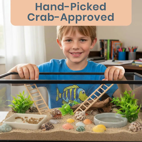 Child smiling while holding a marine aquarium setup with Super Cool Brown Turbo Shells For Hermit Crabs Two Pack 1.75 To 2 Inches.