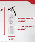Kitchen Fire Extinguisher For Home Use, Easy Pull Pin, All Metal Valve, Rust Resistant Handle, Compact 2.5 lb Design