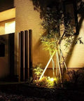 Outdoor garden illuminated by PAR36 LED Landscape Bulbs 6W 700 Lumens Warm White 3000K Low Voltage 12V AC DC lighting.