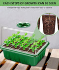 All In One Seed Starter Tray Kit 10 Pack With 120 Cells And Heightened Lids Humidity Dome For Indoor Gardening Seedlings displayed with sprouts.