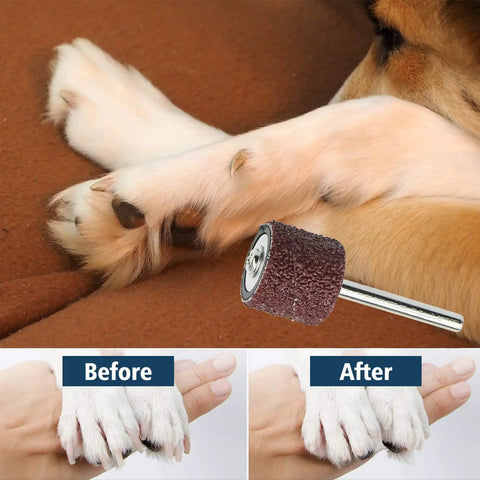 Dog Nail Grinder Replacement Kit 26 Pack With Sanding Drums And 80 Grit And 120 Grit Bands For Pet Nail Smoothing Shank Rotary Tool Kit For Home Grooming And Claw Care shown with dog paw before and after use.