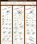 US Navy Carrier Based Aircraft Set C Deluxe Etched Parts For Plastic Model Kits In One To Three Hundred Fifty Scale Premium Detail Up Kit For Ship Modelers IMP Series assembly instructions