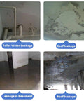 Various leakages including toilet water, roof, and basement damage, showcasing moisture issues needing repair.