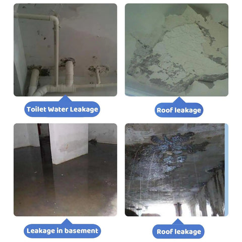 Various leakages including toilet water, roof, and basement damage, showcasing moisture issues needing repair.