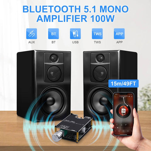 Bluetooth Enabled Mono Power Amplifier Module 100W For DIY Audio Projects With TPA3116D2 Chip, drives two black bookshelf speakers