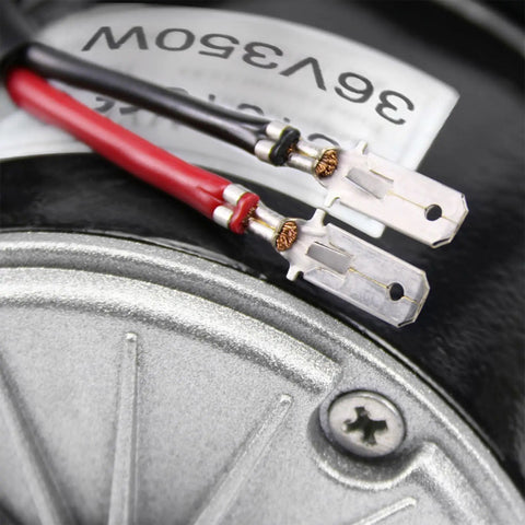 Rock Solid 36V 350W Brushed DC Electric Motor My1016 Kicking Out Two Seventy Five RPM With Eleven Tooth Sprocket wiring terminals close-up.