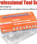 91 piece professional tool set in case, Kit with SAE and metric grease fittings, includes needle gun tips and fitting caps