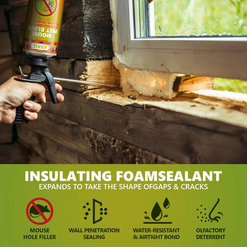 Using Tough As Nails Mouse Proof Expanding Foam Sealant to fill wall gaps for pest prevention and insulation.