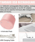 Cute LED Desk Lamp With Flower And Bird Design USB rechargeable base and cable with charging instructions