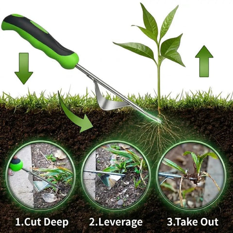 Two Piece Weeding Tool Set With Lever Action Weed Puller And Precision L Shaped Crack Weeder Stainless Steel for garden use