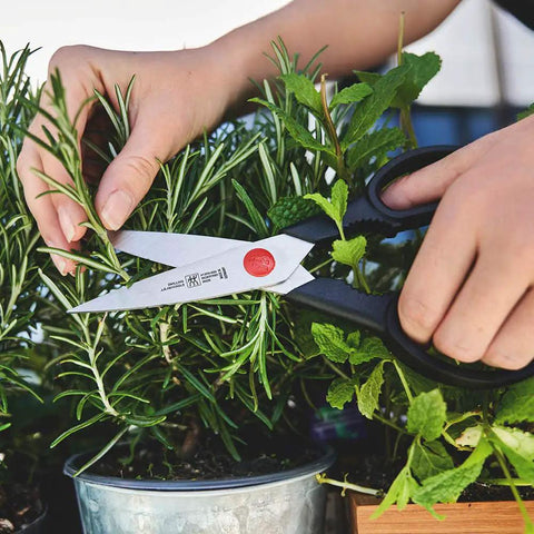 Twin L Kitchen Shears With Built-In Rotary Opener, 7-Inch Stainless Steel Blades, Lightweight Ergonomic Handles, Dishwasher Safe But Hand Wash Recommended, Go-To For Food Prep, Poultry, Seafood, And Craft Tasks cutting herbs in a potted plant