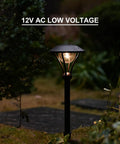 Low Voltage Path Lights LED 1W 60 Lumen Flood Lights With Sturdy Metal Stake illuminating garden path at night