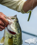 Bait Saver O Ring Set For Senkos And Worms That Prevents Tearing On Wacky Rig And Neko Rig 100 Count Black Fits 4 To 5 Inch Soft Plastics; bass on wacky rig