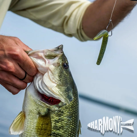 Bait Saver O Ring Set For Senkos And Worms That Prevents Tearing On Wacky Rig And Neko Rig 100 Count Black Fits 4 To 5 Inch Soft Plastics; bass on wacky rig