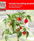 Reaper Ghost Pepper All In One Starter Grow Kit With Seeds And Growing Supplies For Beginners Includes Bhut Jolokia Seeds, plant image.