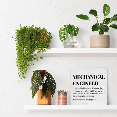 Mechanical Engineer Gift For Women And Men, Definition Wood Sign Plaque on shelf with plants