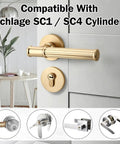 Professional Lock Rekeying Kit With Complete Pinning Set Including 0 to 9 Bottom Pins Master and Top Components for Schlage SC1 SC4