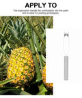 Two Piece Stainless Steel Pineapple Eye Peeler And Remover Set With Steel Handles next to a ripe pineapple plant