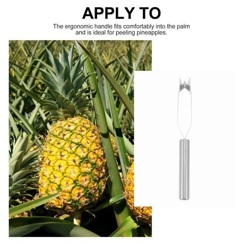Two Piece Stainless Steel Pineapple Eye Peeler And Remover Set With Steel Handles next to a ripe pineapple plant