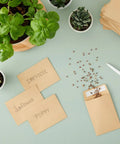 Brown Seed Packets 4.5 By 3.25 Inches 100 Pack Blank Envelopes with scattered seeds and plants