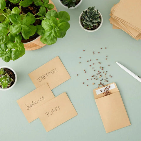 Brown Seed Packets 4.5 By 3.25 Inches 100 Pack Blank Envelopes with scattered seeds and plants
