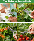 Four Pack Garden Shears Set With Stainless Steel Blades trimming plants, grapes, berries, showing versatility in pruning