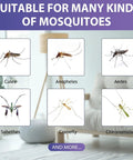 Various mosquito species including Culex, Anopheles, Aedes, and others, ideal for Stock Up On These Four Pack Mosquito Attractant Bait Refills