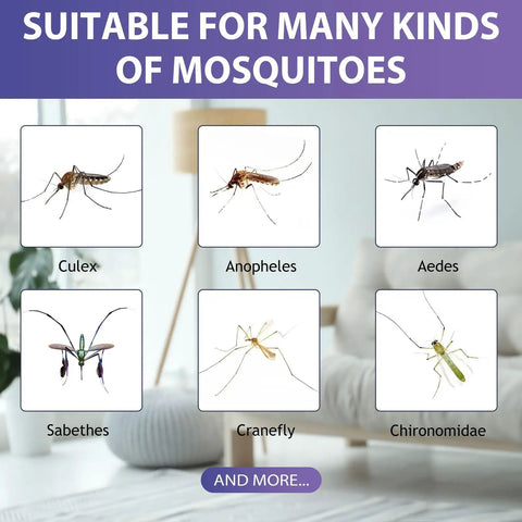 Various mosquito species including Culex, Anopheles, Aedes, and others, ideal for Stock Up On These Four Pack Mosquito Attractant Bait Refills