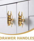 Two Piece Brass Beetle Drawer Knob Set For Dressers And Cabinets Cool Bug Cabinet Pulls With Vintage Gothic Cottagecore