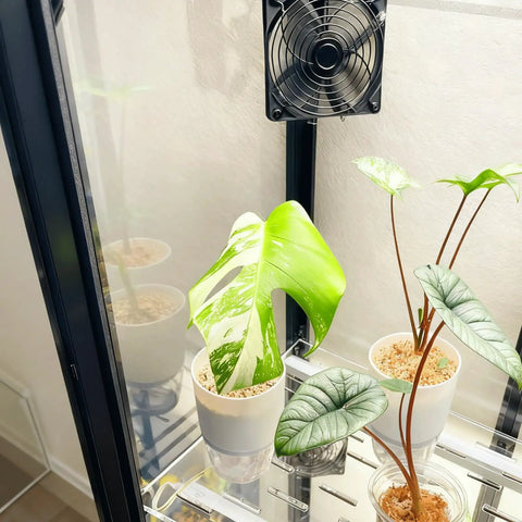 Adjustable Fan Grill Mount Bracket For Secure Ventilation In Cabinets And Greenhouses Easy Clip On Fit For 120mm And 80mm Fans Durable Plastic Construction Universal Mounting For Wood Cabinets And Shelving