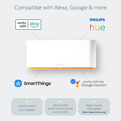 TaHoma Switch Hub For RTS Motors with app and voice control scenes, showing compatibility with Alexa, Google, and SmartThings