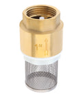 One Inch Brass Foot Valve For Well Pump With Filter Screen And Stainless Steel Check Valve DN25 Bottom Valve, front view