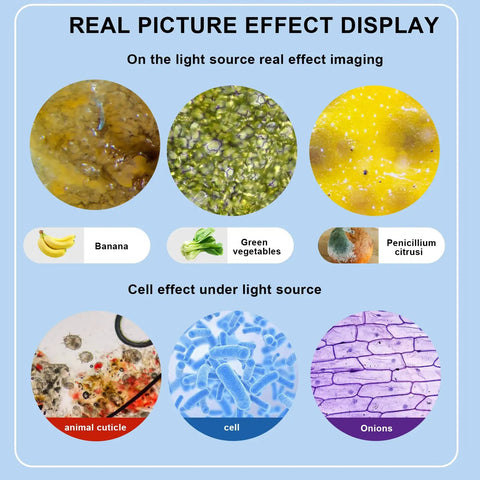 Image showing various microscopic views using Adult Lab Microscope With 40X To 2000X Magnification Binocular Eyepieces WF10x And WF25x USB Camera