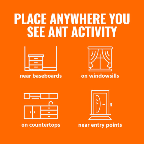 Illustration showing placement for Indoor Liquid Ant Baits With Adhesive Strips For Discreet Baiting in homes near ant activity areas.