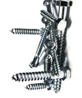 Pack Of 250 Stainless Steel 3/8 By 1-1/2 Inch Hex Lag Screws Bolts 18-8 Hardware Fastener Set For Pro Grade Outdoor Projects DIY