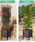 56 Inch Raised Garden Bed With Tomato Cage And Trellis, Self Watering Planter Box For Vegetables And Flowers, Lockable Wheels