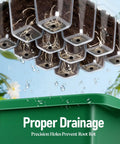 Ten Pack Seed Starter Tray Set With Extra Tall Humidity Dome 120 Cells Total Seedlings with visible drainage holes and roots